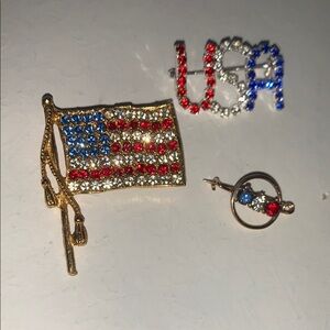 Patriotic USA Flag and Pin Set 3 Vintage pins